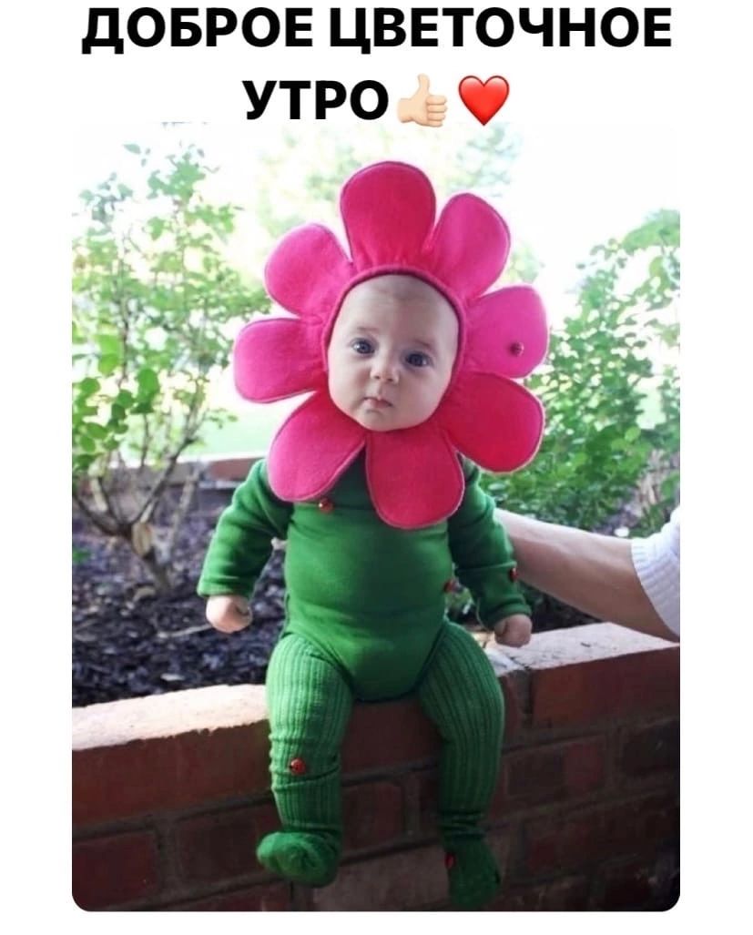 дОБРОЕ ЦВЕТОЧНОЕ УТРО