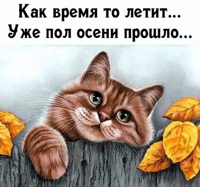 Как время то летит Уже пол осени прошло