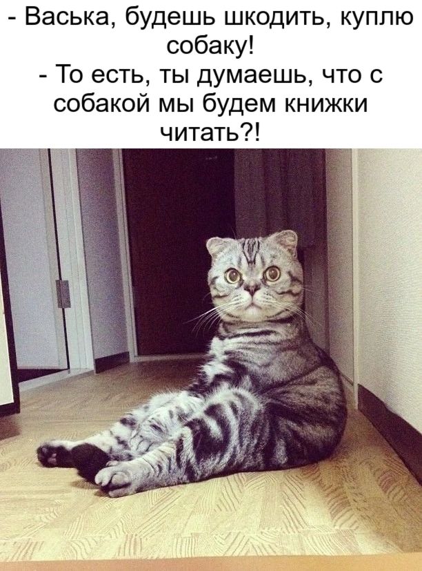 Васька будешь шкодить куплю собаку То есть ты думаешь что с собакой мы будем книжки читать