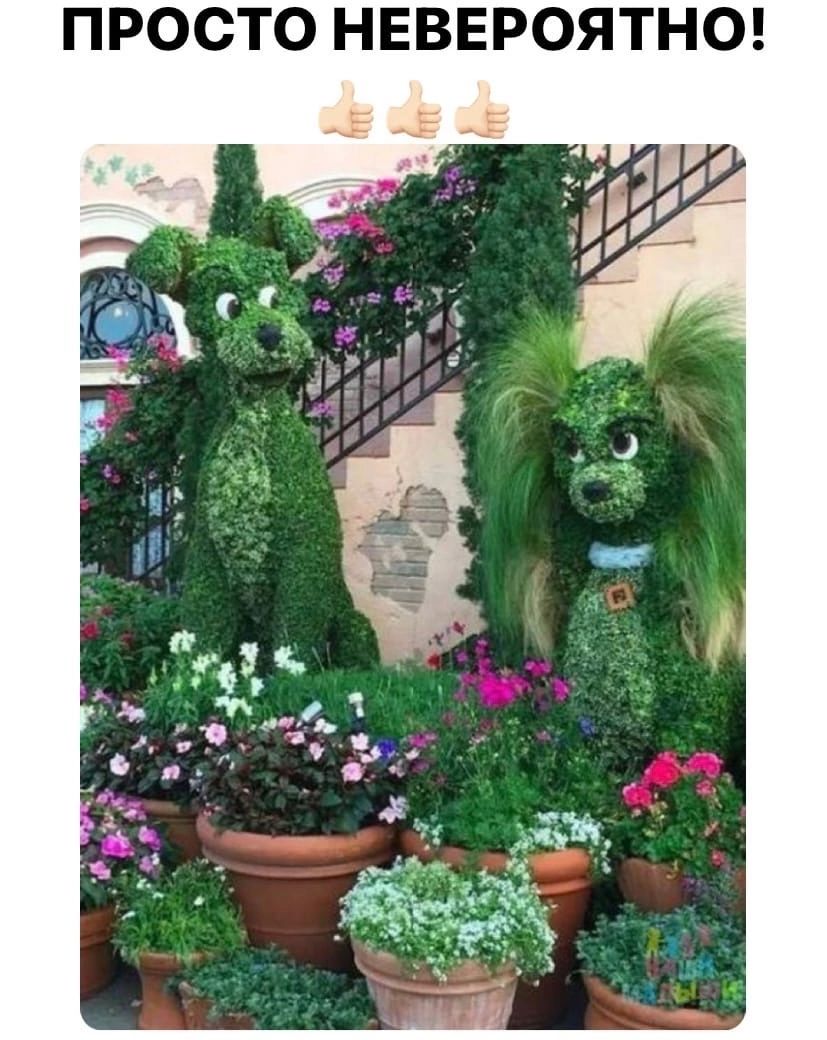 О Н Т Я 0 Р Е В Е Н О Т с О Р П