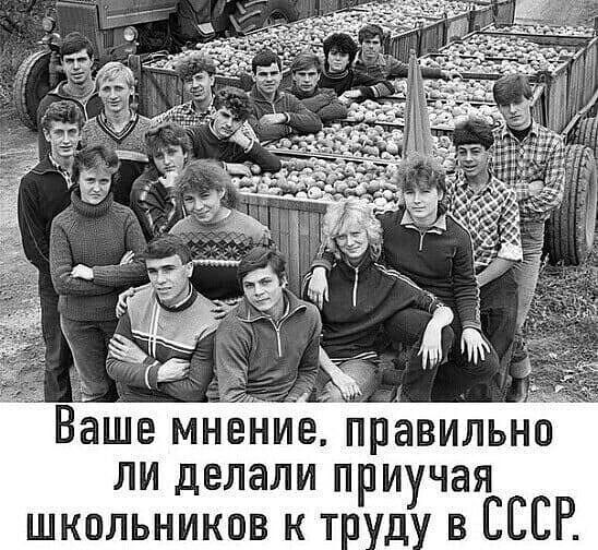 _ правильно ли делали приучая школьников к т д в СССР