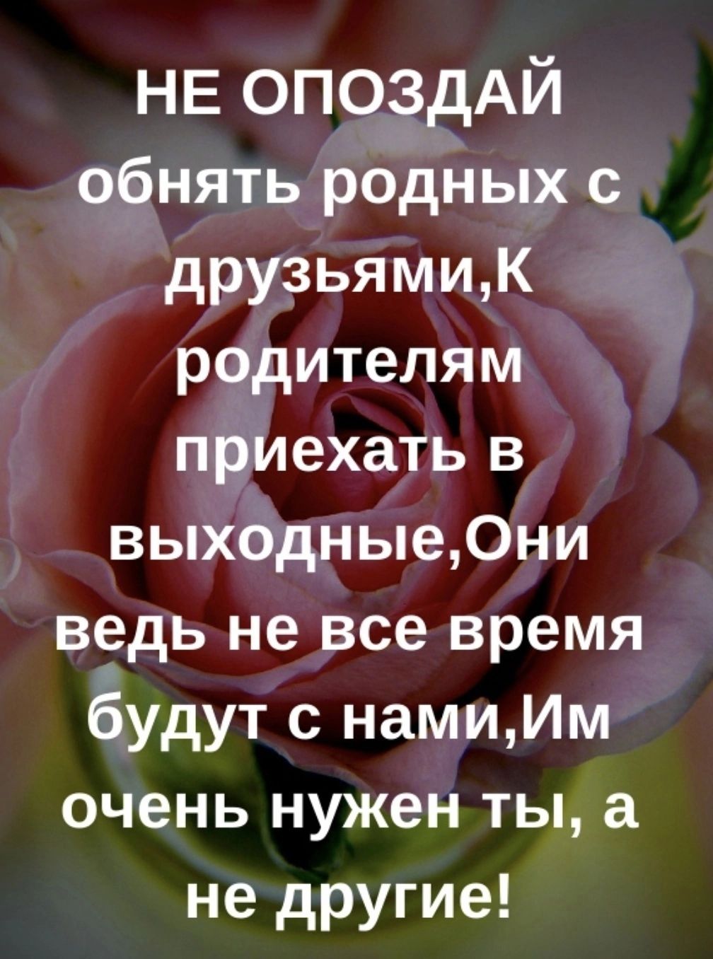 НЕ ОПОЗБАЙ сёнять родных с друзьями К родителям пддехать в выхёдные Они ведь не все время Ёудут с намиИм очень нужен ты а не другие