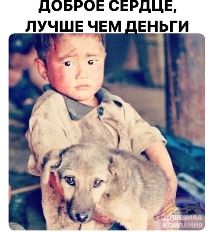 дОБРОЕ СЕРДЦЕ ЛУЧШЕ ЧЕМ ЕНЬГИ