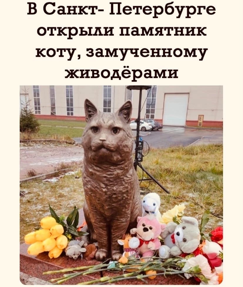 В Санкт Петербурге откръши памятник коту замученному живодёрами