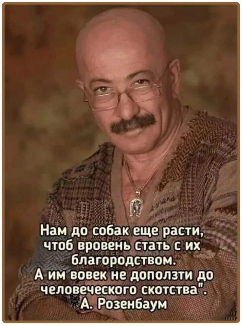 Нам до собак еще расти чтоб вровень стать с их благородством А им вовек не доползти до человеческого скотства АРозенбаум
