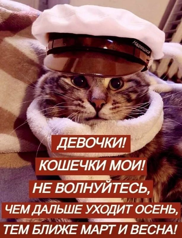 КОШЕЧКИ МОИ НЕ ВОЛНУИТЕСЬ ЧЁМ ДАЛЬШЕ УХОДИТ ОСЕНЬ ТЕМ БЛЮКЕ МАРТ И ВЕСНА