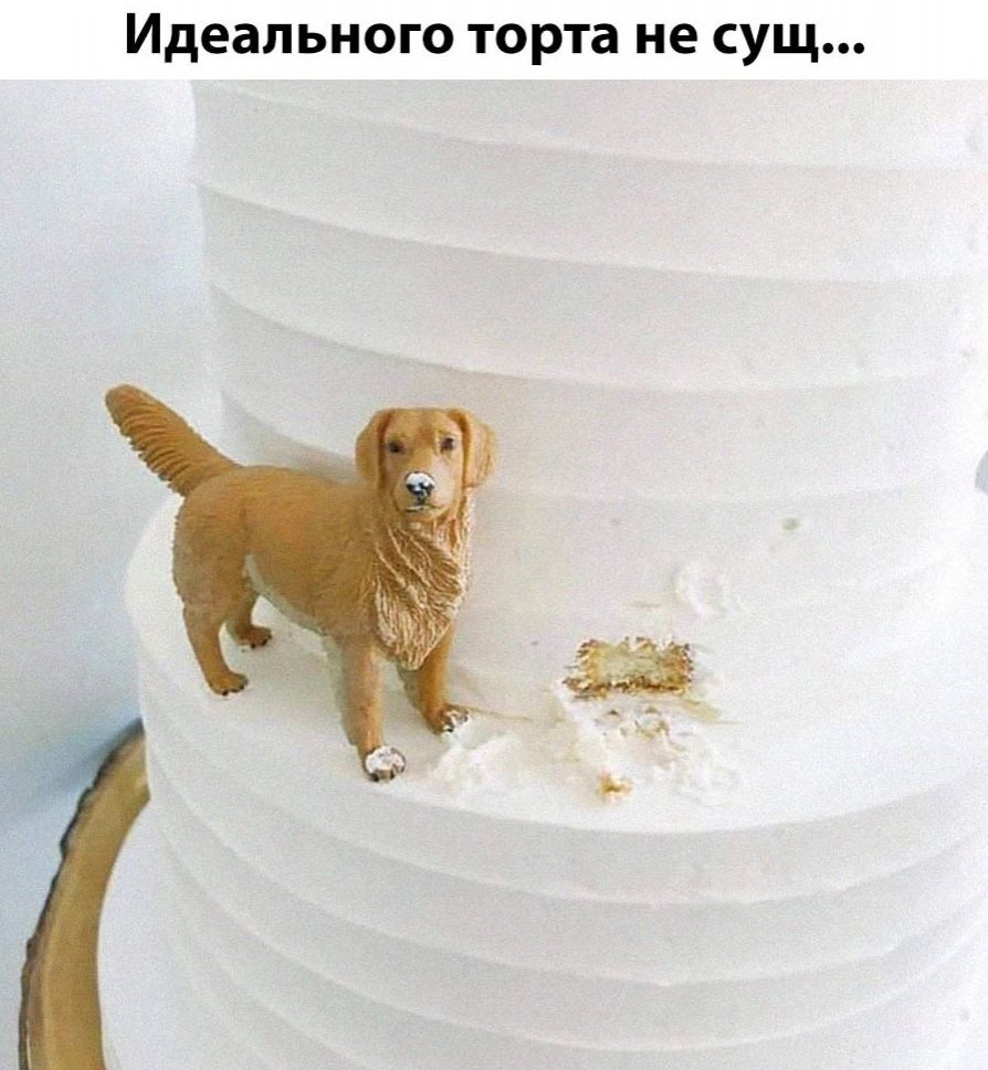 Идеального торта не сущ