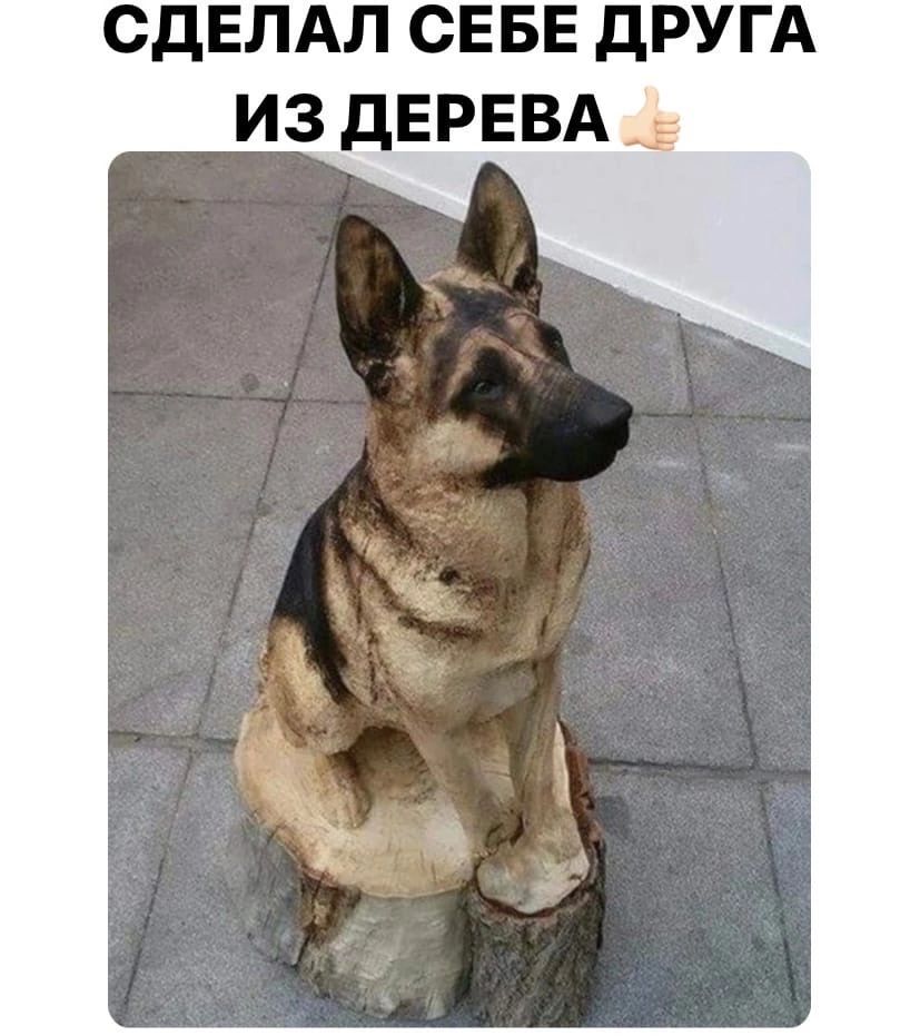 СДЕЛАЛ СЕБЕ дРУГА ИЗ дЕРЕВА