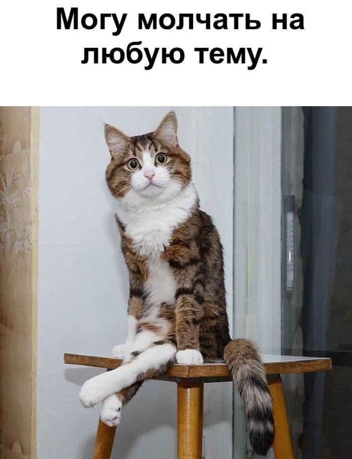 Могу молчать на любую тему