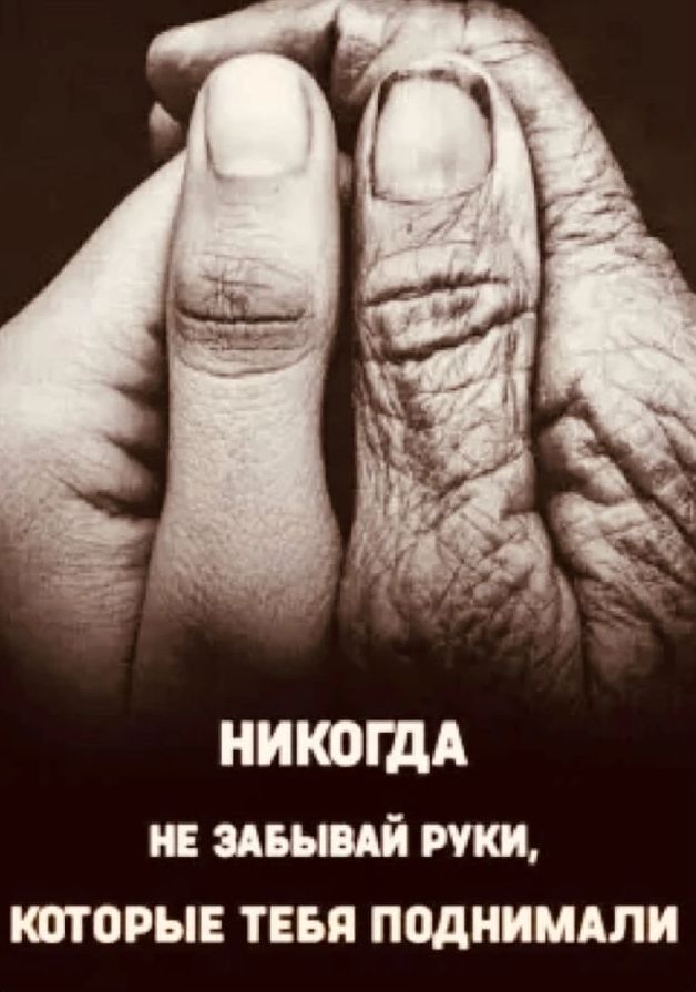 НИКОЩА явный пки шторы тввя поднимдли