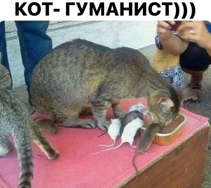 о х т А 2 г Ф