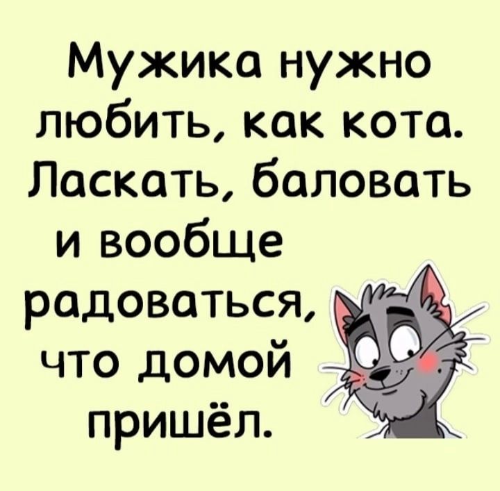 Мужика нужно любить как кота Ласкать баловать и вообще радоваться _ что домой пришёл