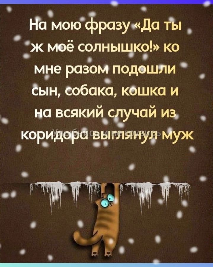 Га мою фразучкда тЫ ж моё солныщко ко мне разом подошли Сын собака кешка и на всякий ссучай из _ кошмара вытянув Муж ЖЁЁЖТЁ