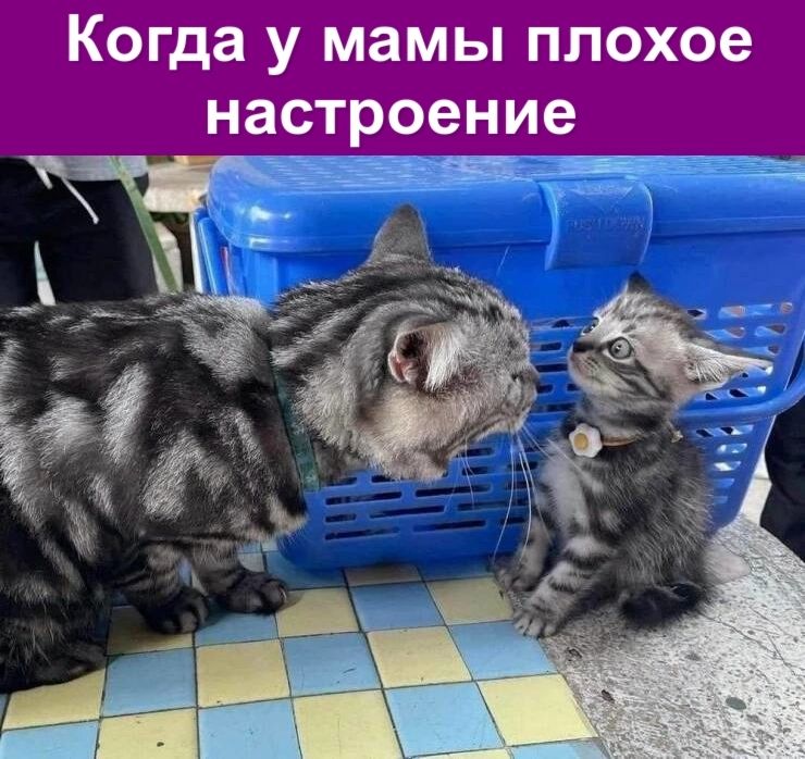 Когда у мамы плохое настроение
