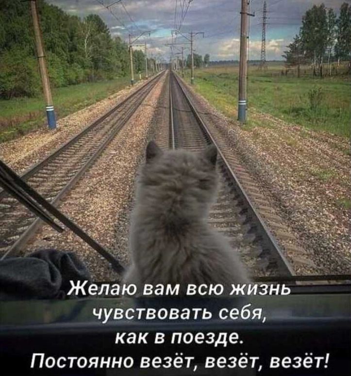 Жел вам всю Знь нщтвовать еебщ как в поезде Постоянно везёт везёт везёт