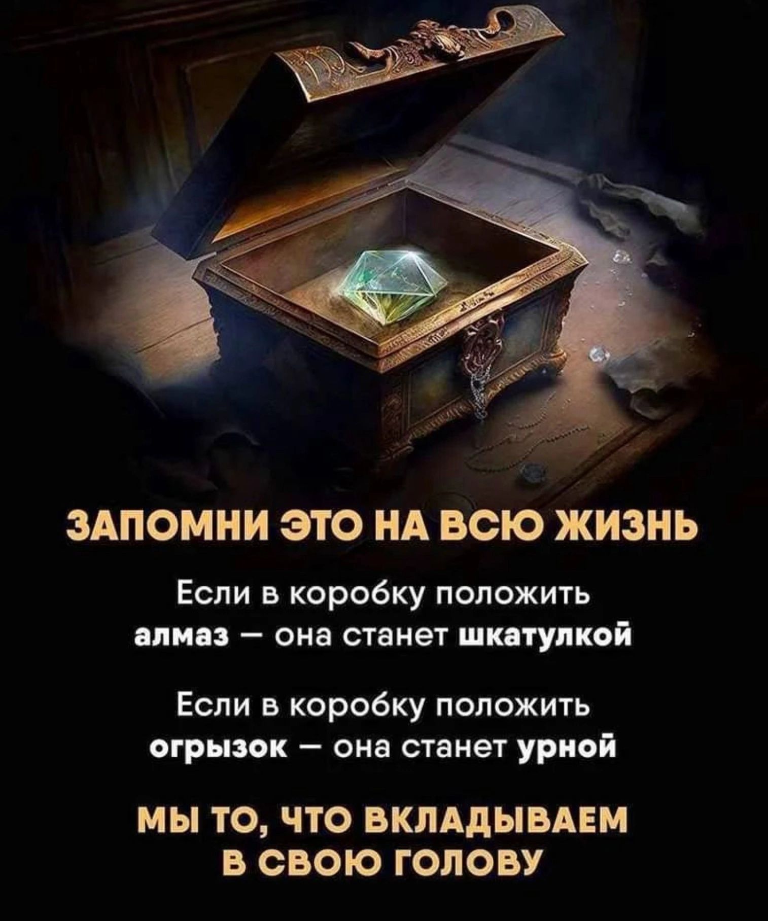 ЗАПОМНИ это А всю ЖИЗНЬ Если в коробку положить пин она станет шкпупкой Если в коробку положить огрызок она станет уриой мы ТО ЧТО ВКЛАДЫБАЕМ В СВОЮ ГОЛОВУ