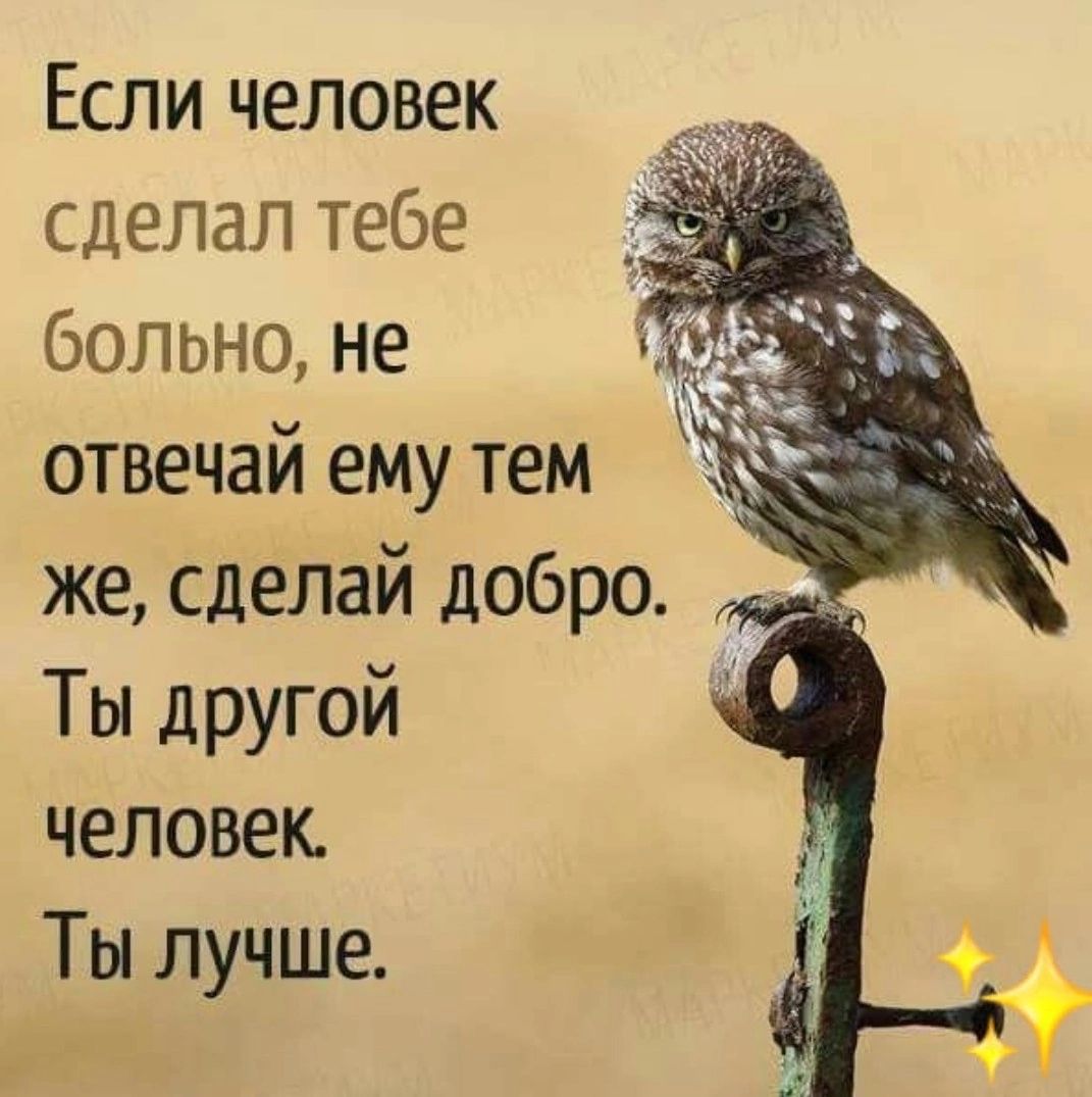 Если человек сделал тебе больно не отвечай ему тем же сделай добро Ты другой человек Ты лучше