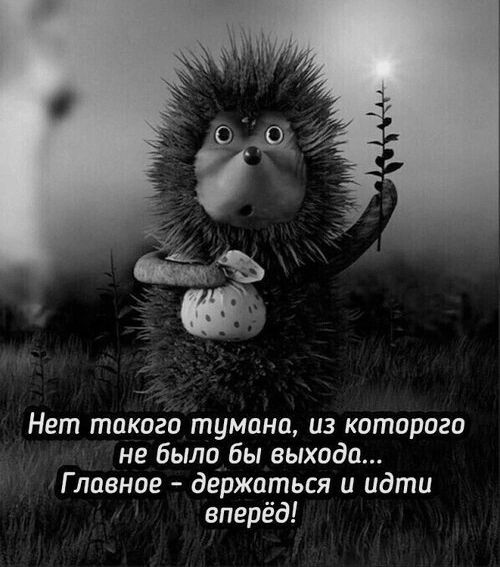 _ Нет такого тумана из которого не было бы выхода Г ловное держаться и идти вперёд