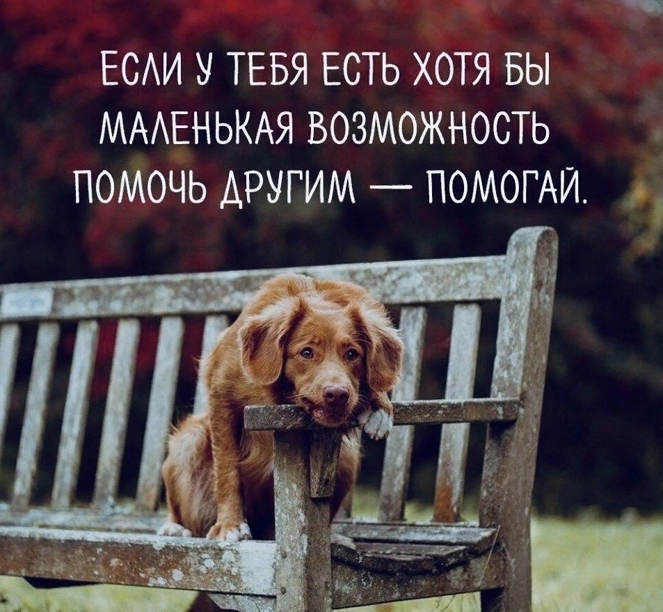 ЕСАИ У ТЕБЯ ЕСТЬ ХОТЯ БЫ МААЕНЬКАЯ ВОЗМОЖНОСТЬ ПОМОЧЬ ДРУГИМ ПОМОГАИ