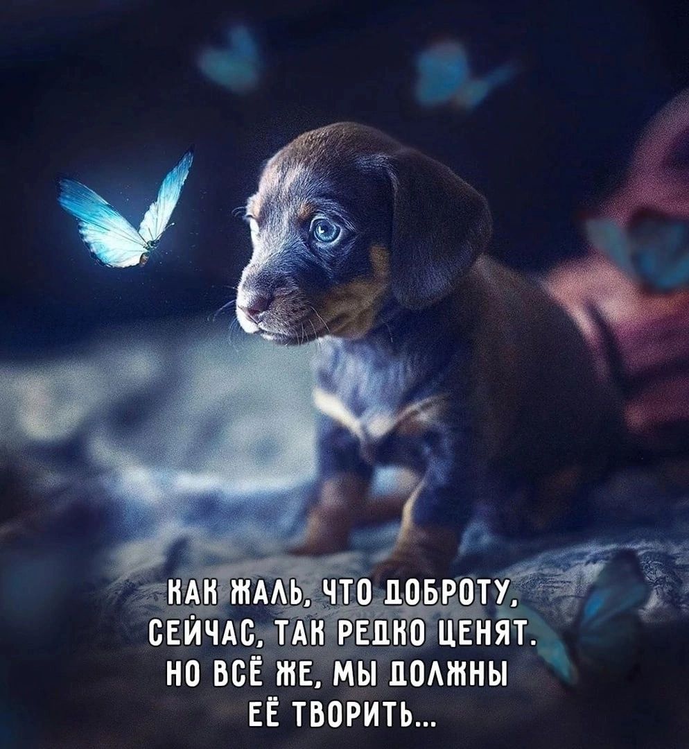 07 вы помины ЕЕ творить