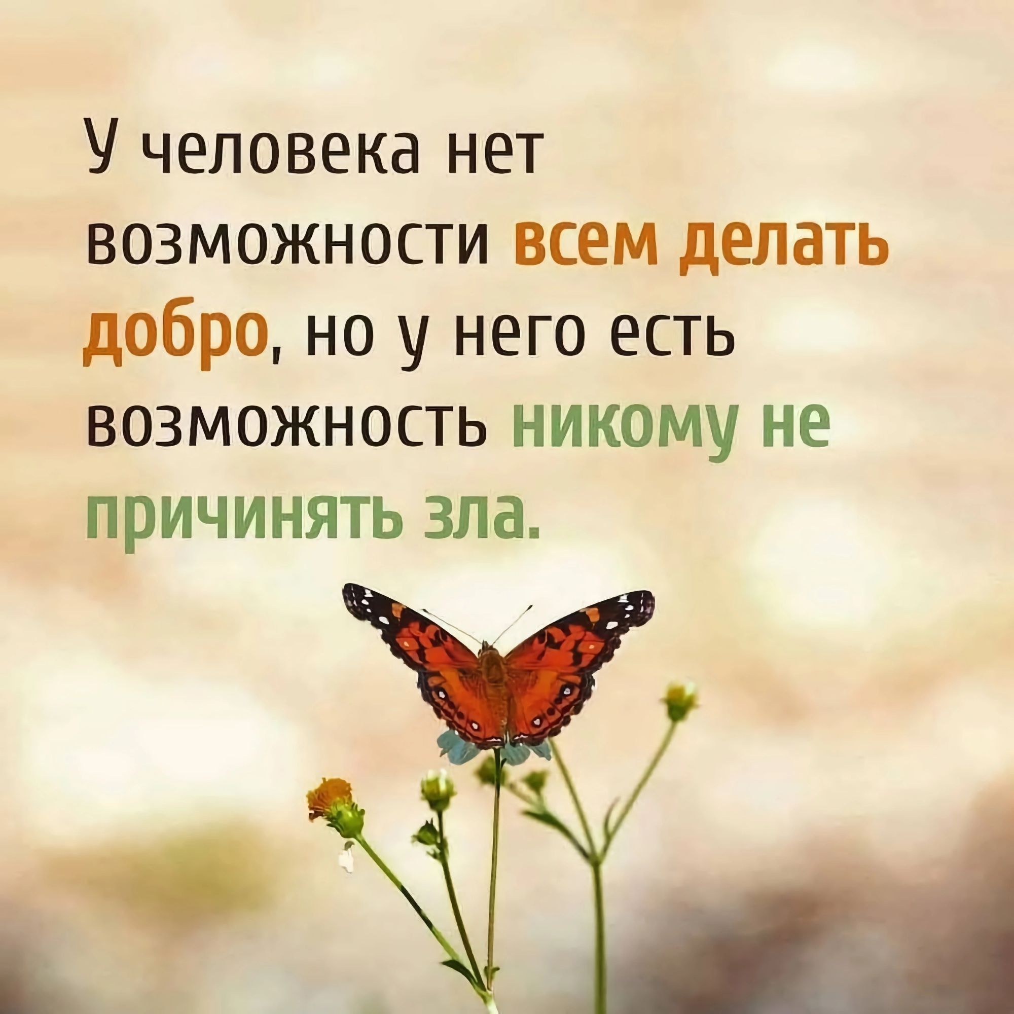 У человека нет возможности всем делать добро но у него есть возможность никому не причинять зла
