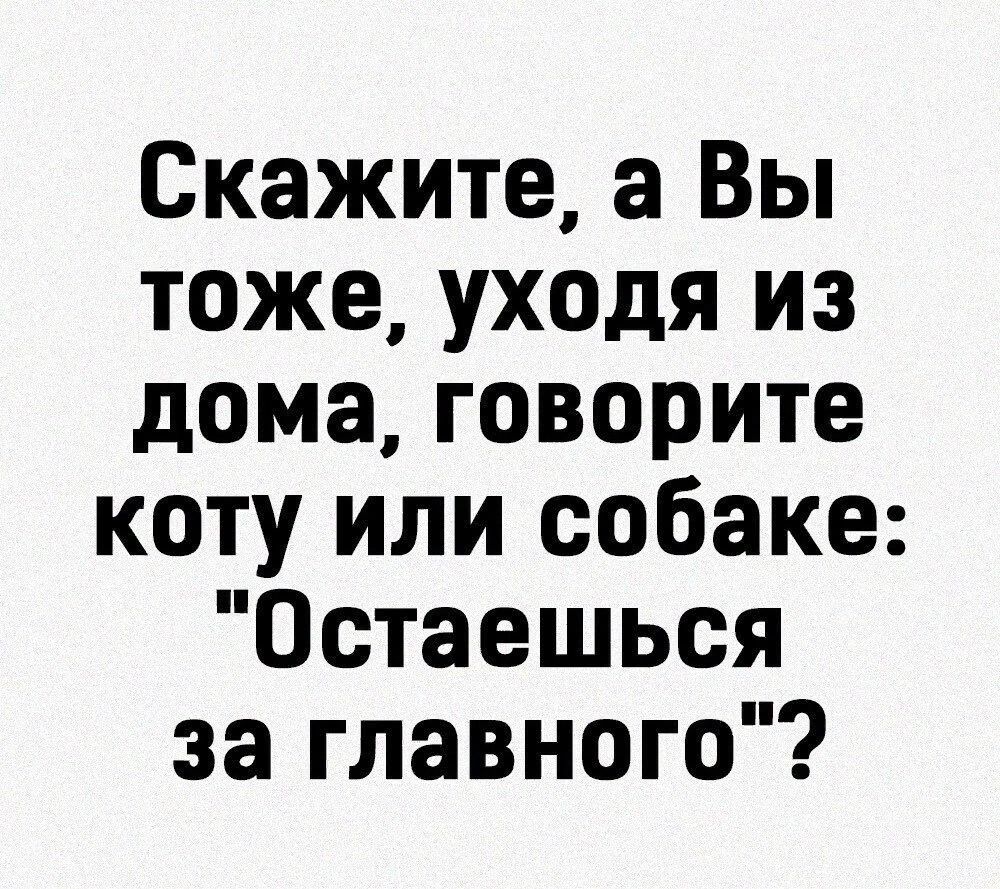 Скажите а Вы тоже уходя из дома говорите коту или собаке Остаешься за главного