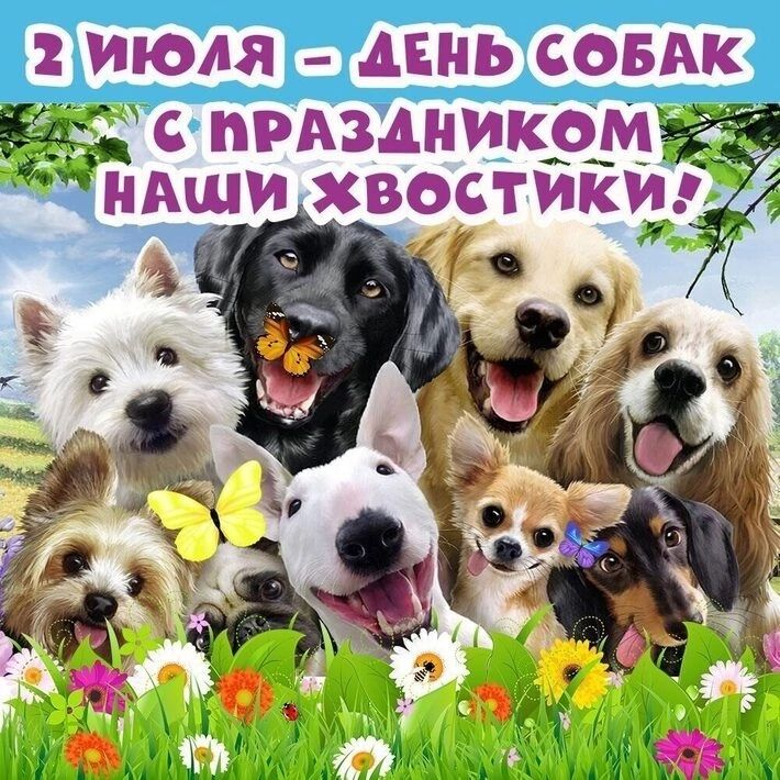 2 ИЮЛЯ ДЕНЬ СОБАК прдздникрм _ иАщи хвостикц з и