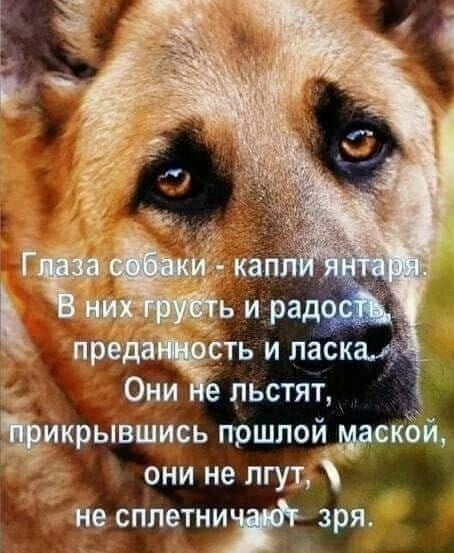 Гьсь пршлой цскбйд 1 они не л