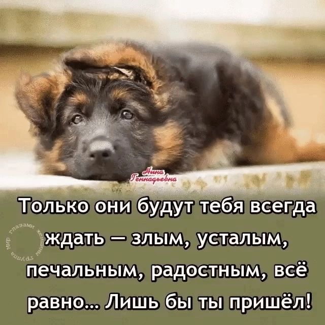Только онй будут тебя всегда дать злым усталым Нечальным радостным всё равно Лишь бы ты пришёл