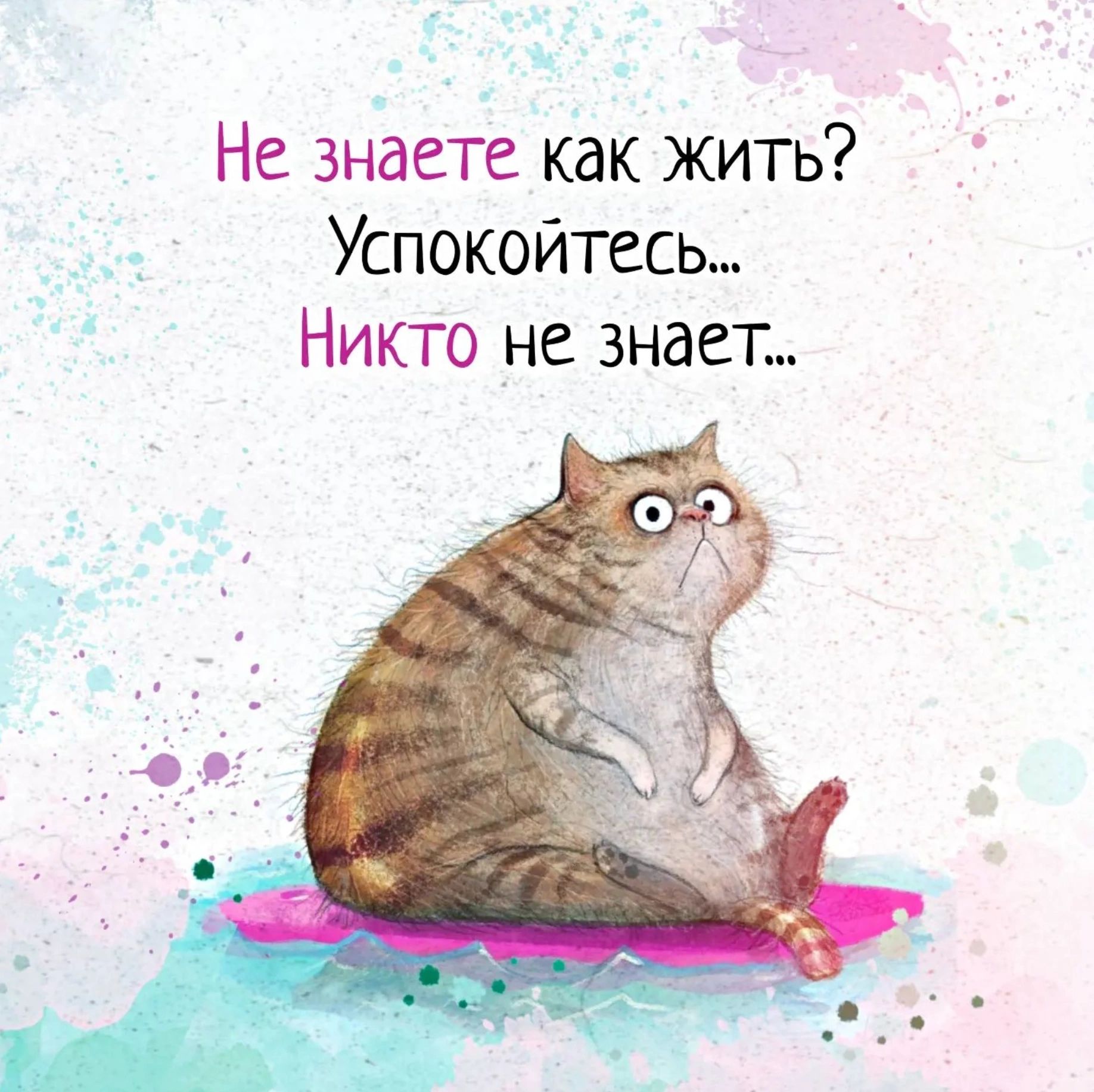 Не знаете как жить _ _ Успокойтесь Никто не знает