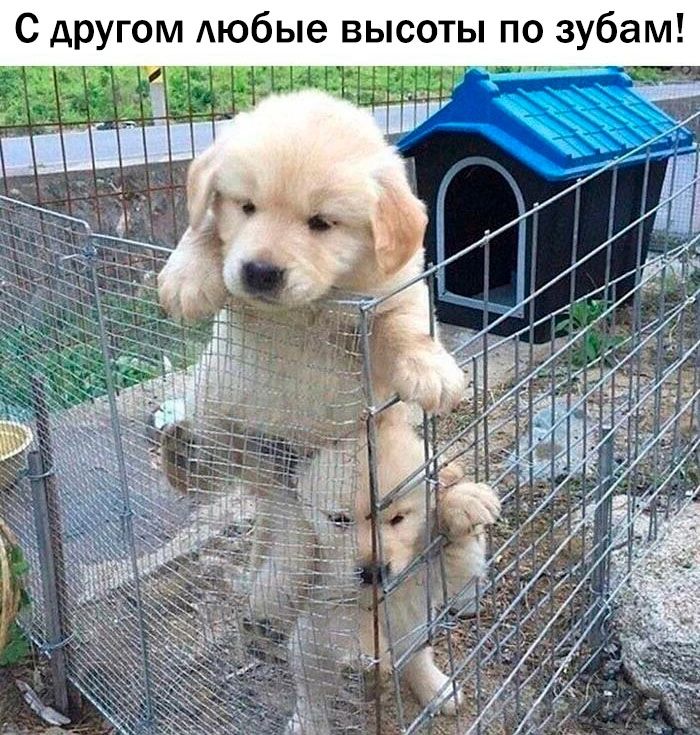 с другом Аюбые высоты по зубам