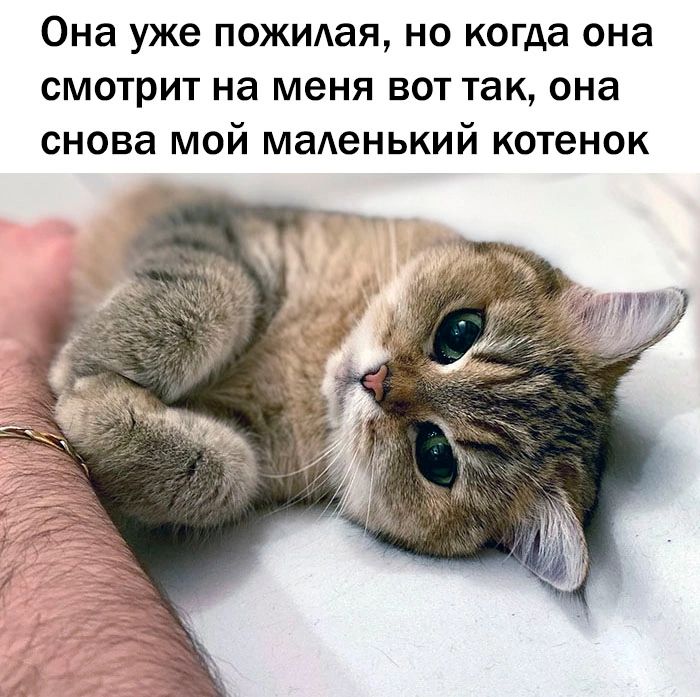 Она уже пожимая но когда она смотрит на меня вот так она снова мой маленький котенок
