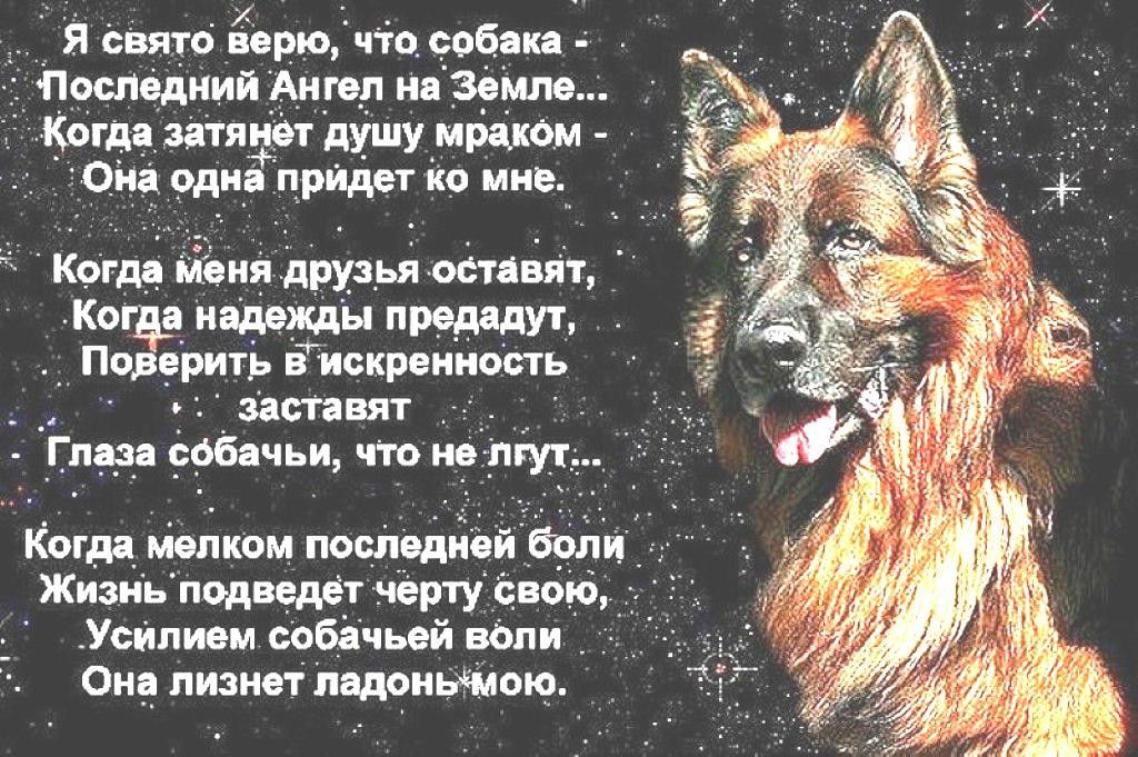 я свит Ёцрю в посмднии Анил ип Когда шит душу шт оьц оди прчддг кп пив тм игяия друзья виды Ко ищи ды родит ьитъ дарим исп г _а офи что индус кти шпили посиди Я щи Жизнь подвиги ні Усипмм сабічий вЬпи он мани впринципе