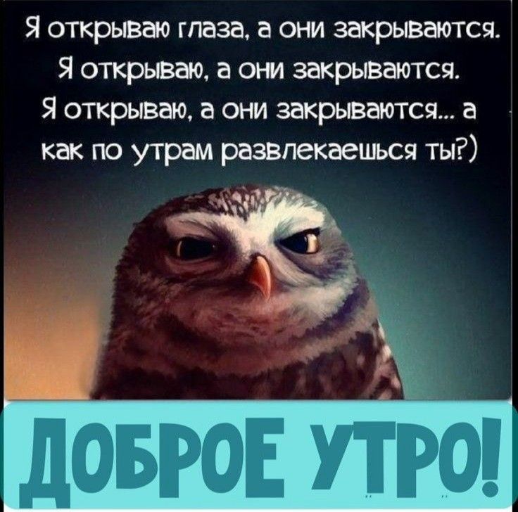 Я открываю глаза а они закрываются Я открываю а они закрываются Я открываю а они закрывается а как по утрам развлекаешься ты