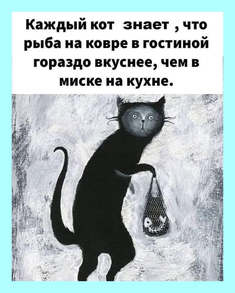 Каждый кот знает что рыба на ковре в гостиной гораздо вкуснее чем в миске на кухне
