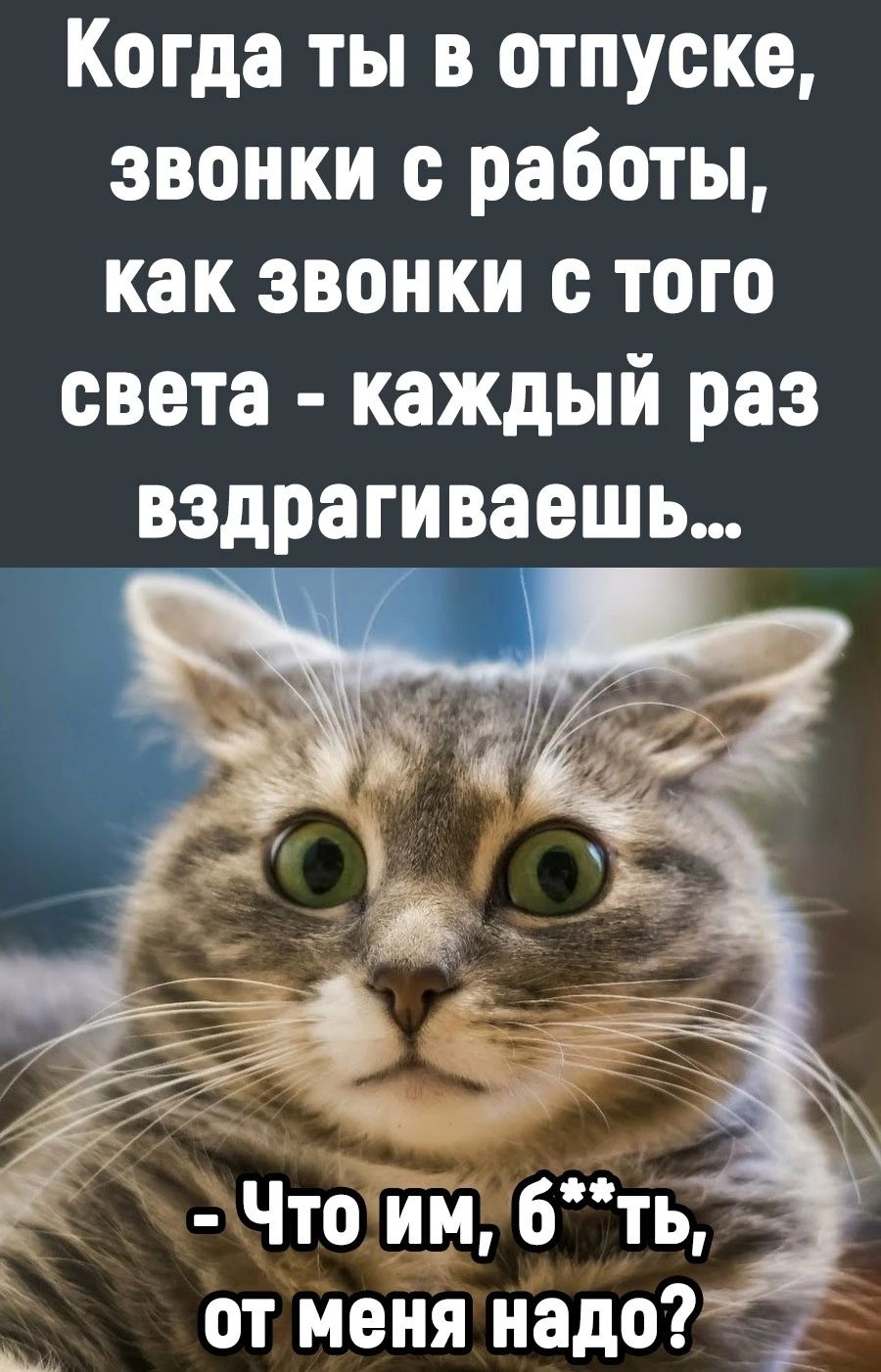 Когда ты в отпуске звонки с работы как звонки с того света каждый раз вздрагиваешь Что им 6ть от меня надо