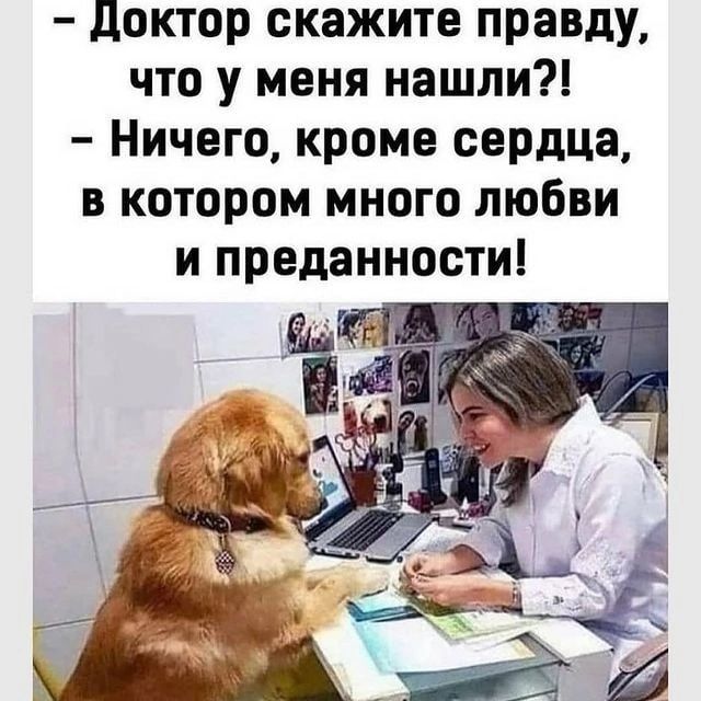 доктор скажите правду что у меня нашли Ничего кроме сердцз в котором много любви и преданности