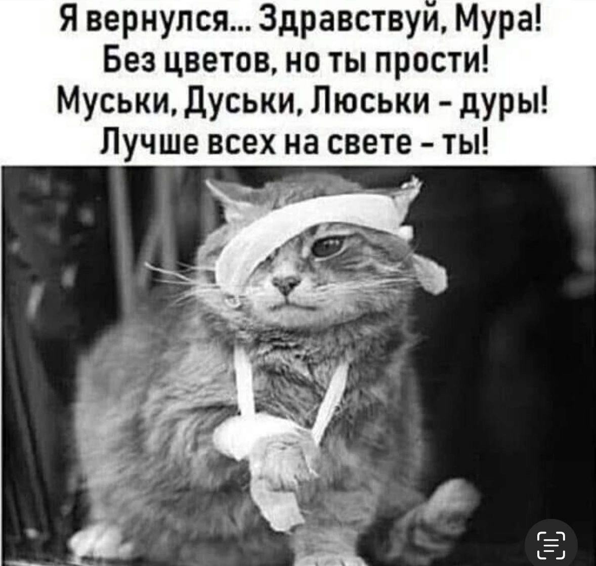 Я вернулся Здравствуи Мура Без цветов но ты прости Муськи Дуськи Люськи дуры Лучше всех на свете ты