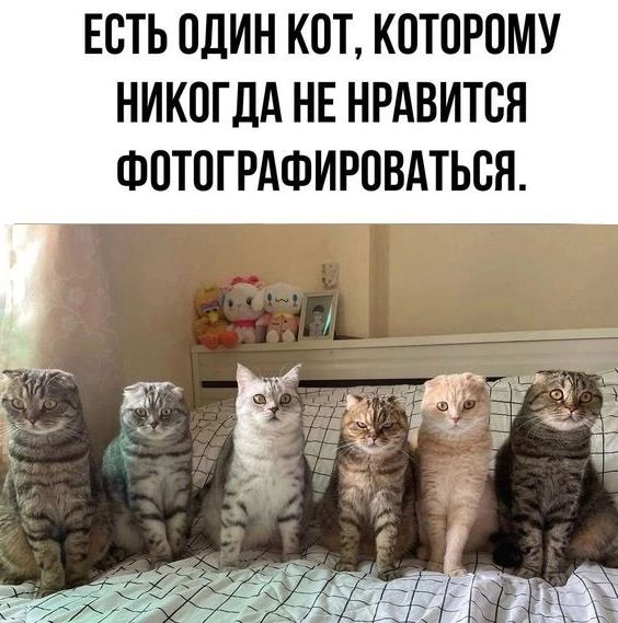 ЕСТЬ ОДИН КВТ КПТПРОМУ НИКОГДА НЕ НРАВИТСЯ ФПТПГРАФИРПВАТЬСН