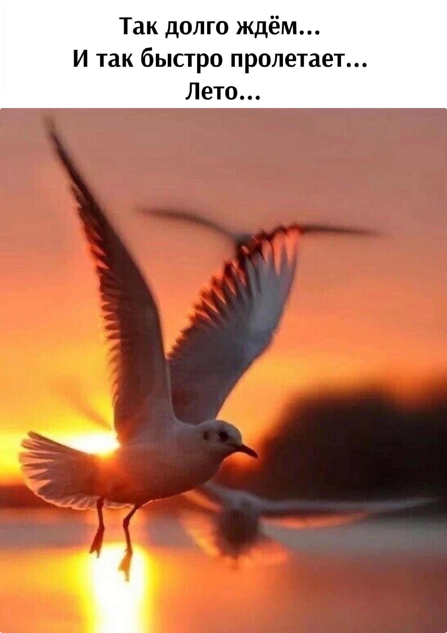Так долго ждём и так бысгро пролетает Лето
