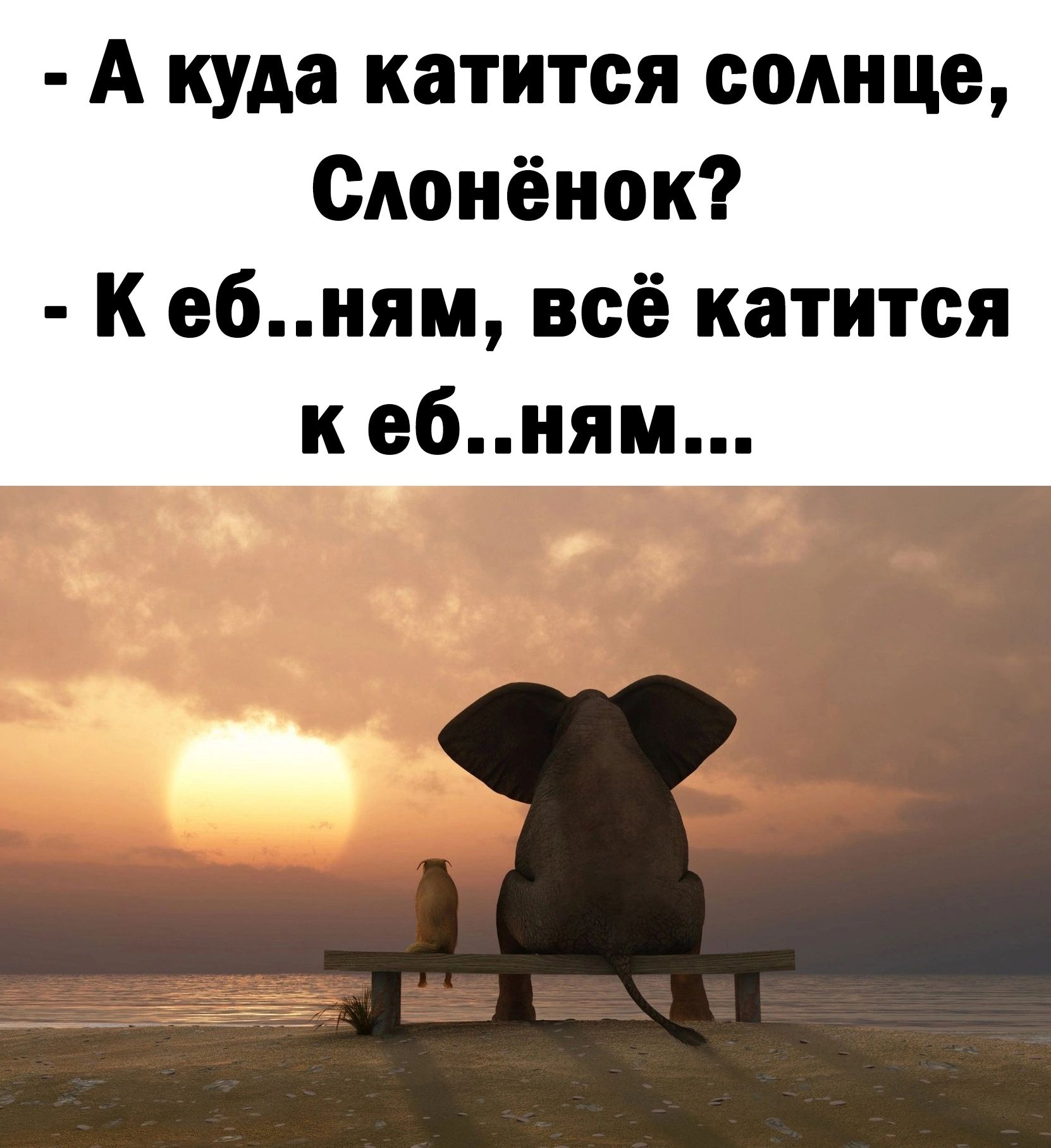 А куда катится солнце Оленёнок к ебиям всё катится к ебням