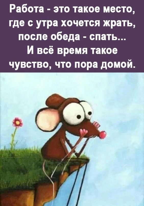 Работа это такое место где с утра хочется жрать после обеда спать И всё время такое чувство что пора домой