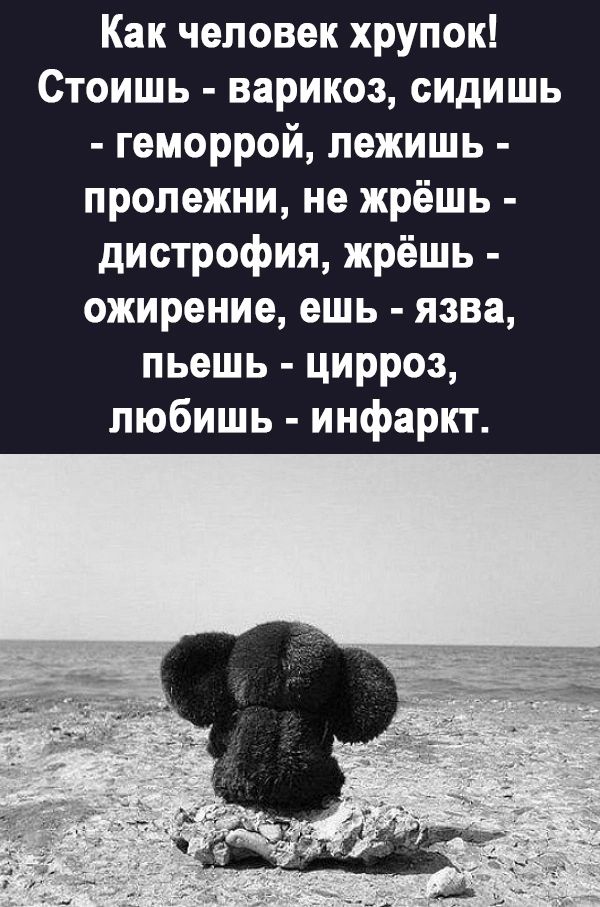 Как человек хрупок Стоишь варикоз сидишь геморрой лежишь пролежни не жрёшь дистрофия жрёшь ожирение ешь язва пьешь цирроз любишь инфаркт