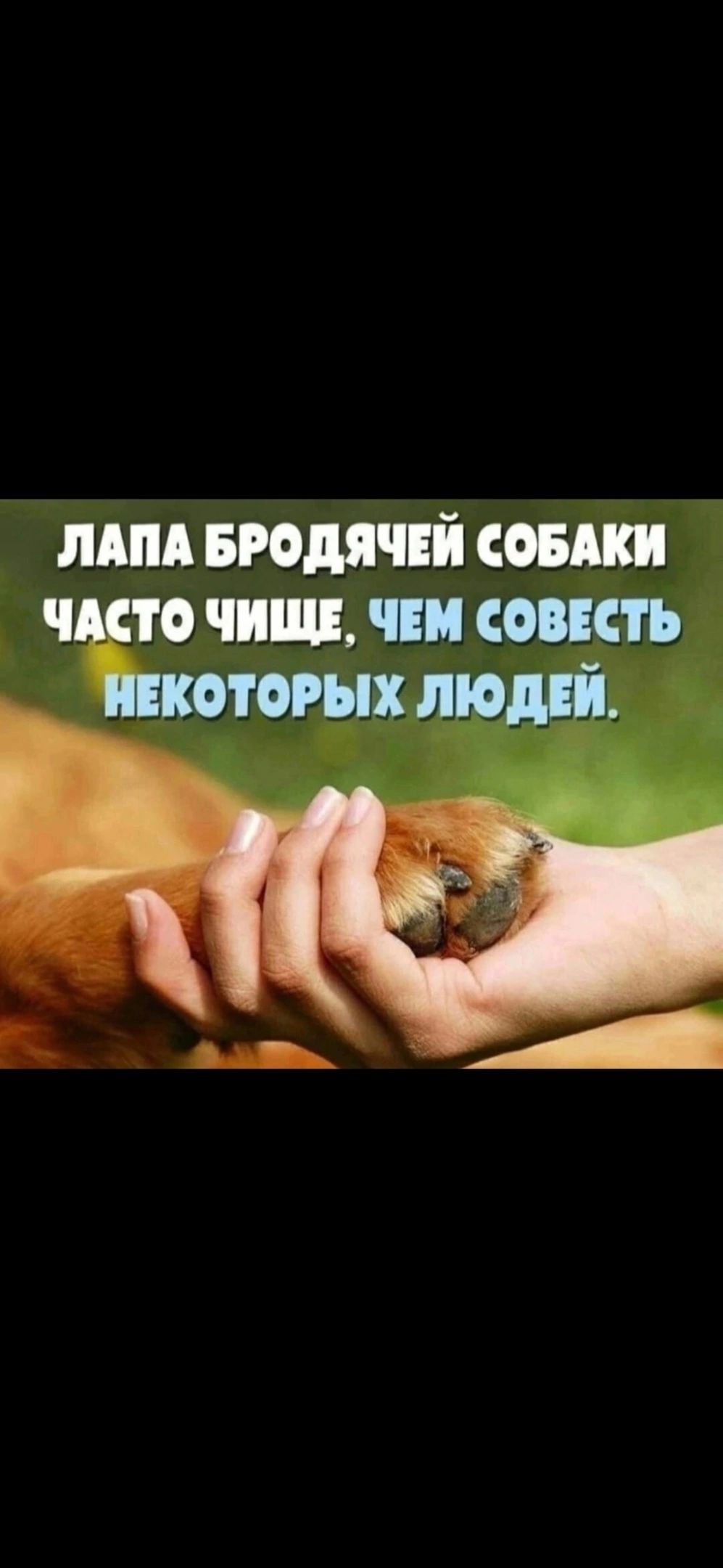 мм впдячнй сопки точищ чинить врых лю к