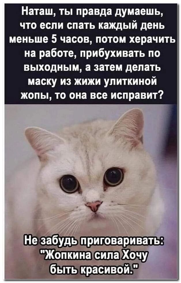 Наташ ты правда думаешь что если спать каждый день меньше 5 часов потом херачить на работе прибухивать по выходным а затем делать маску из жижи улиткиной жопы то она все исправит я Не абудь _ ніьшкрасивой