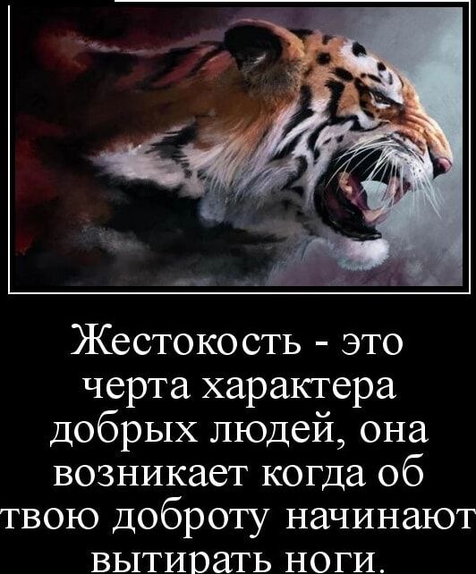 Жестокость это черта характера добрых людей она возникает когда 06 твою доброту начинают вытирать ноги