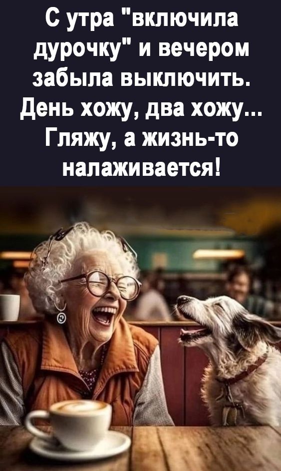 С утра включила дурочку и вечером забыла выключить день хожу два хожу Гляжу а жизнь то налаживается