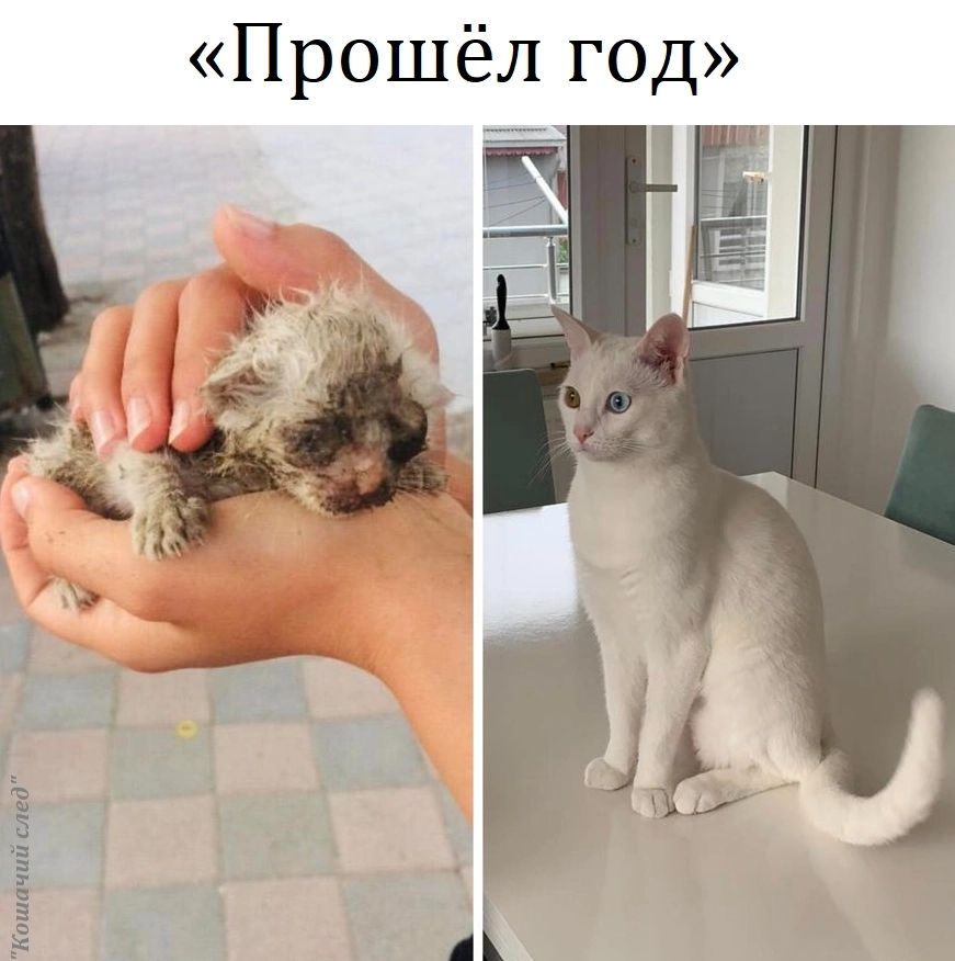 Прошёл год