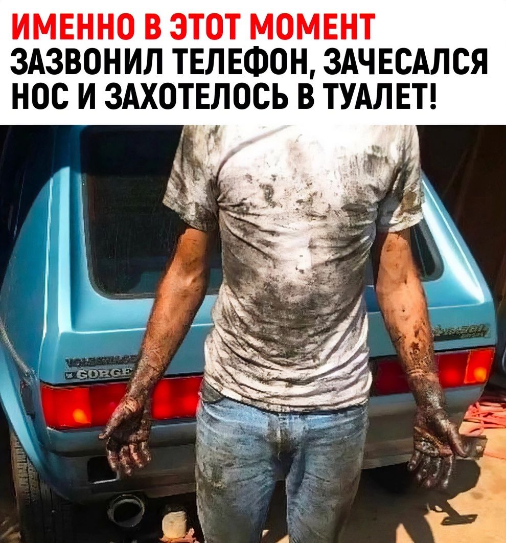 ИМЕННО В ЭТОТ МОМЕНТ ЗАЗВОНИП ТЕЛЕФОН ЗАЧЕСАПСЯ НОС И ЗАХОТЕПОСЬ В ТУАЛЕТ г