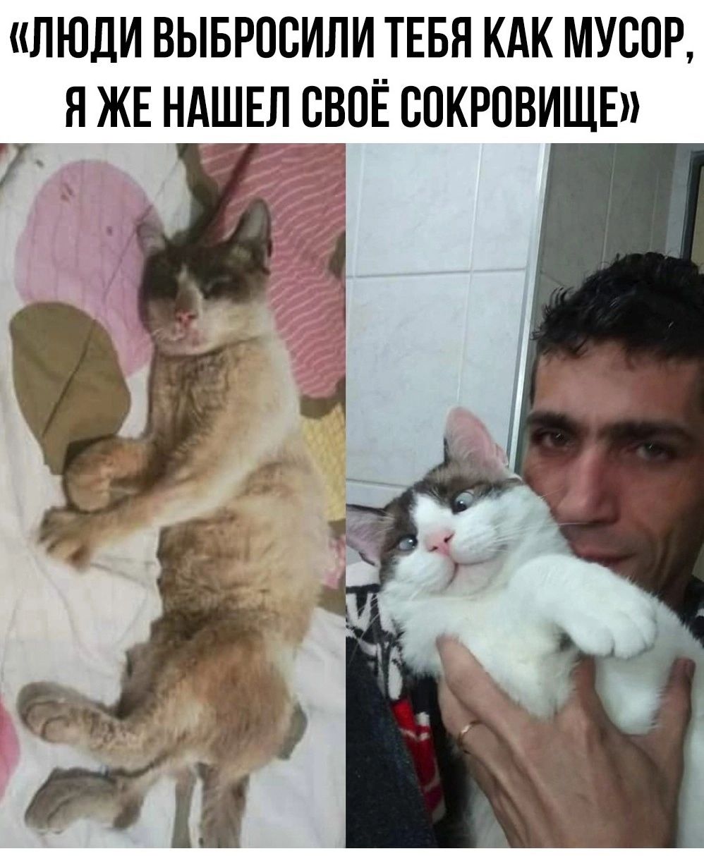 ЛЮДИ ВЫБРПВИПИ ТЕБЯ КАК МУСОР Я ЖЕ НАШЕЛ СВПЁ ВПКРПВИЩЕ 7